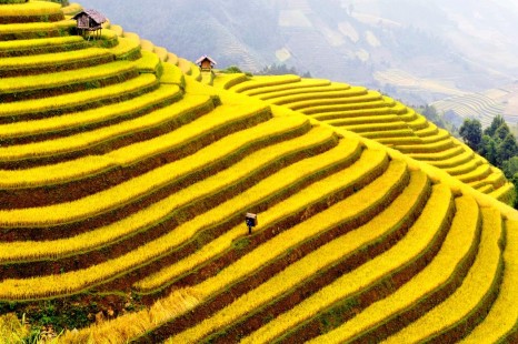 Tour Du Lịch Sapa - Thác Bạc 3 Ngày 2 Đêm (Đi - Về bằng tàu hỏa)